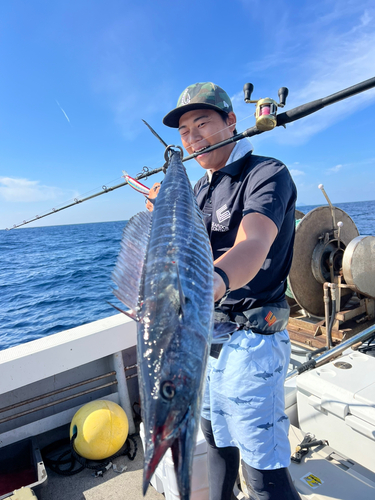 カマスサワラの釣果