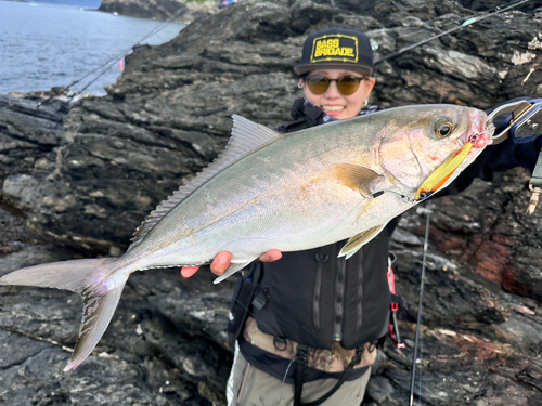 ネリゴの釣果