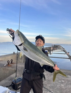 ブリの釣果