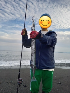 ダツの釣果