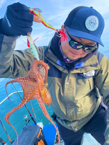 タコの釣果