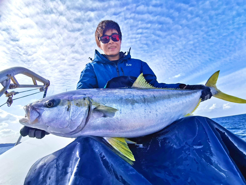 ヒラマサの釣果