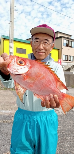 チカメキントキの釣果