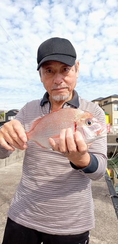 ハナダイの釣果