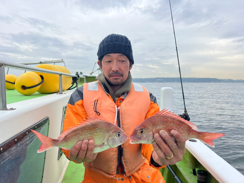 マダイの釣果