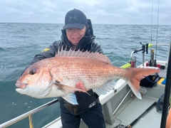 タイの釣果