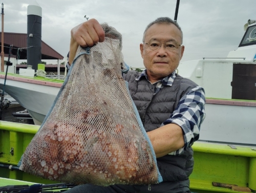 マダコの釣果