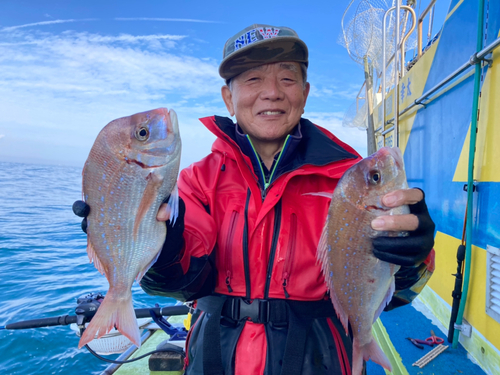 ハナダイの釣果