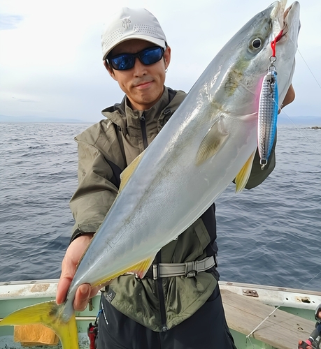 メジロの釣果