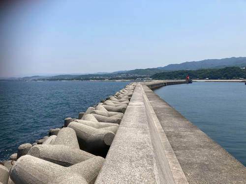 アナハゼの釣果