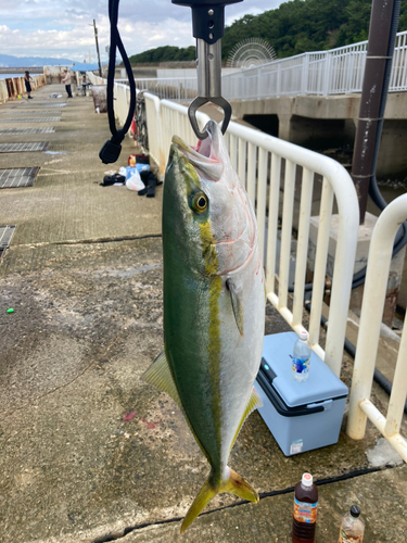 南港魚つり公園