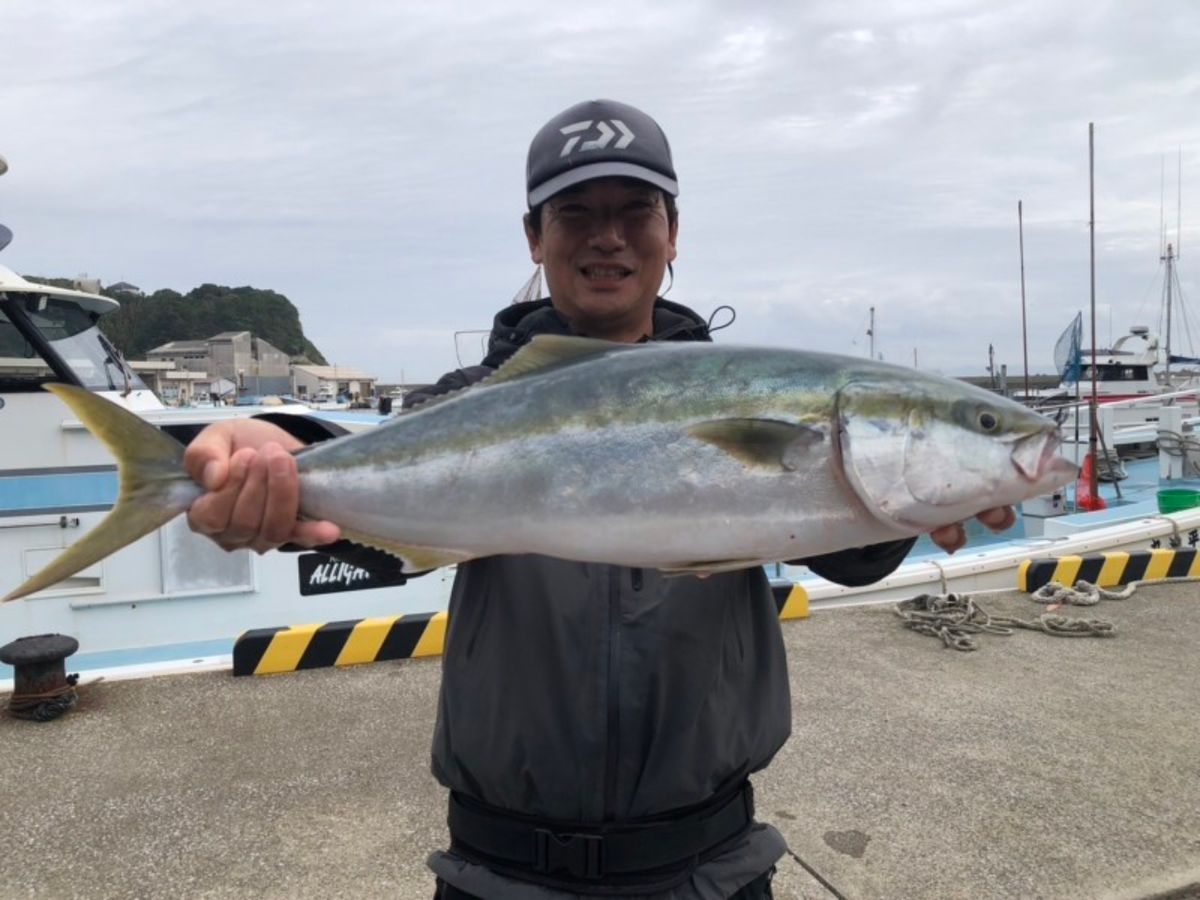 イカ時々魚さんの釣果 2枚目の画像