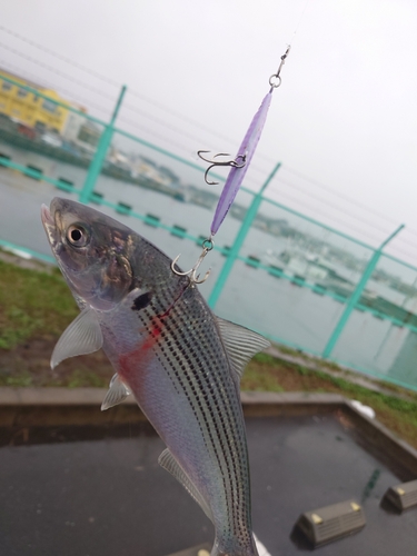 那珂湊港