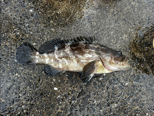 長崎湾