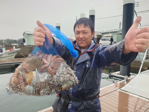 マダコの釣果