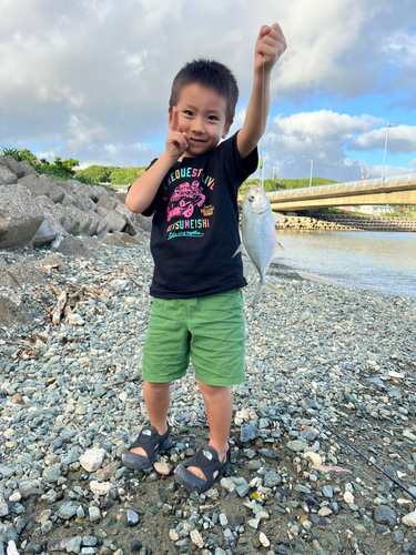 メッキの釣果