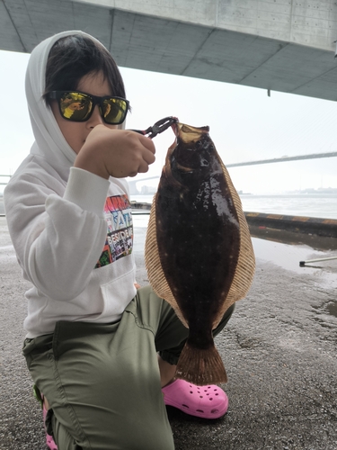 ヒラメの釣果