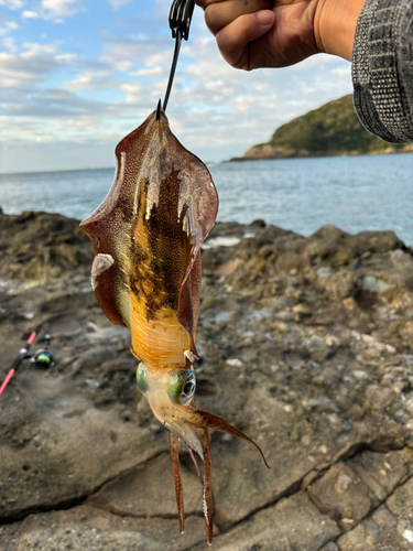 犬走島