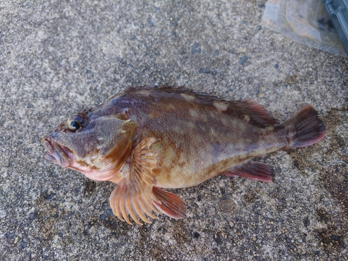 網代浜海水浴場