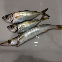 メアジ