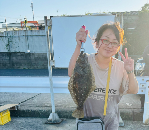 ヒラメの釣果