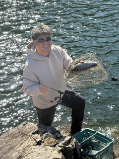 ニジマスの釣果