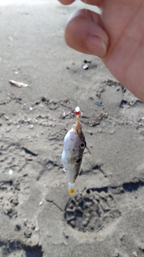 松任海浜公園