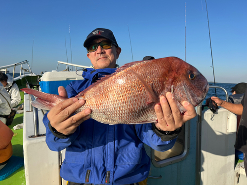 マダイの釣果