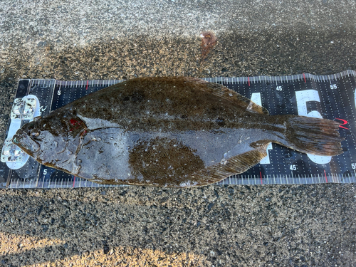 日明海峡釣り公園