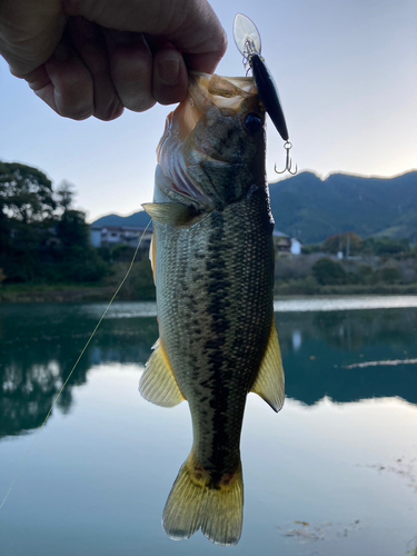 神流川