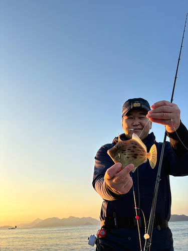 カワハギの釣果