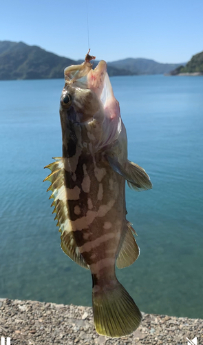 浦ノ内湾