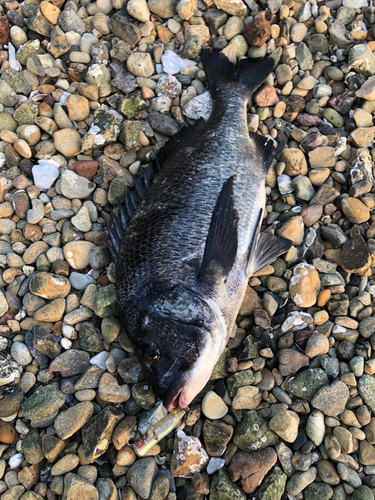 奥浜名湖