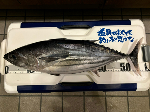 釣果