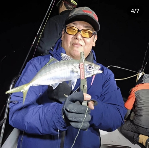 マアジの釣果