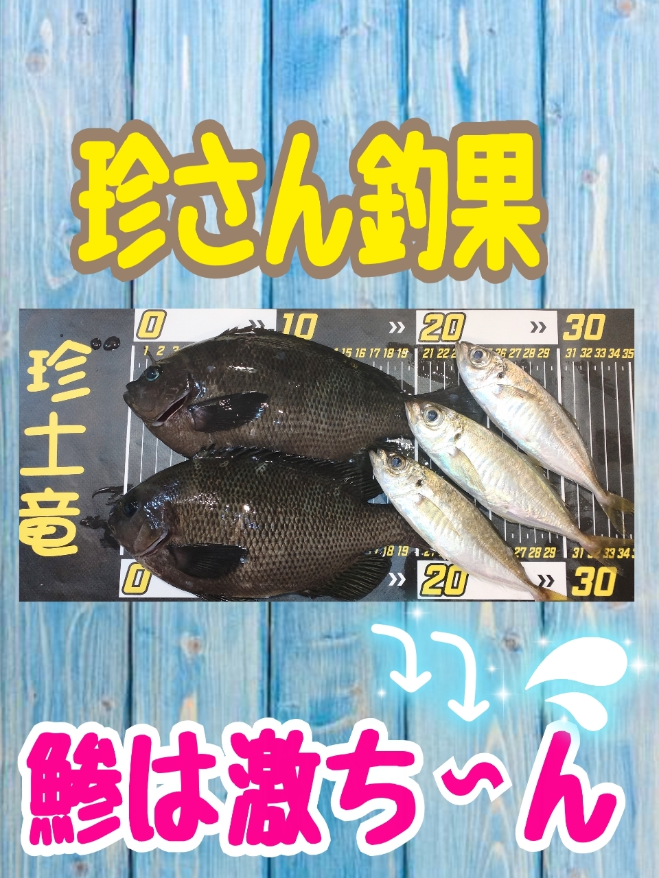 カマス