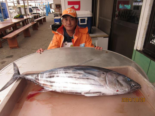 カツオの釣果