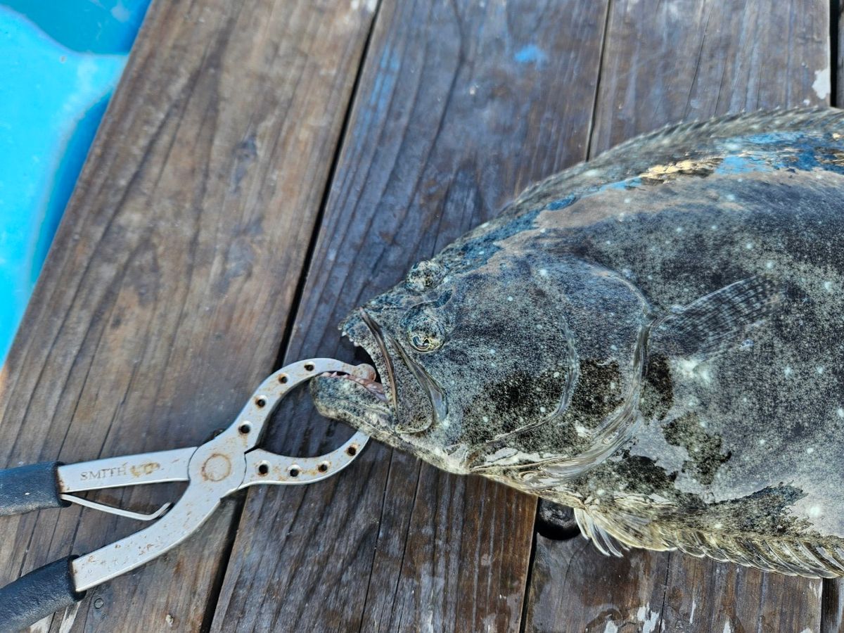 ジークラフト狂信者さんの釣果 1枚目の画像