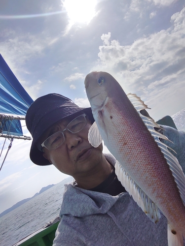 アマダイの釣果