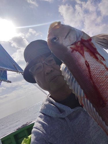 アマダイの釣果