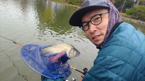 ヘラブナの釣果