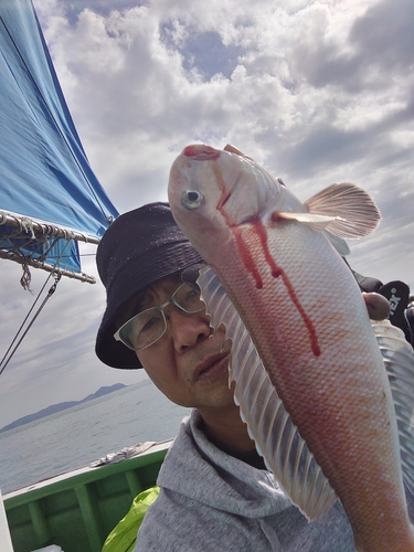 アマダイの釣果