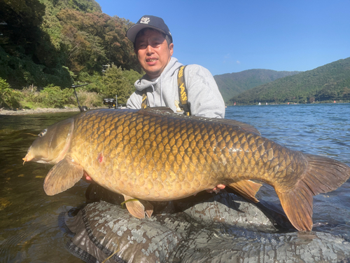 コイの釣果