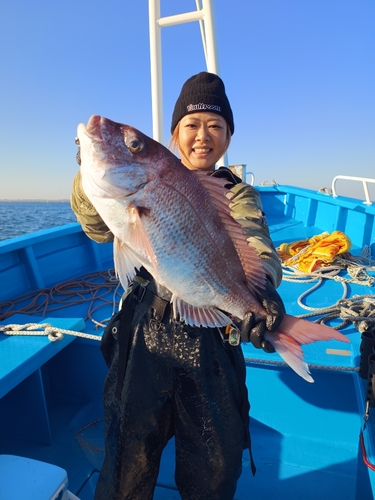 マダイの釣果