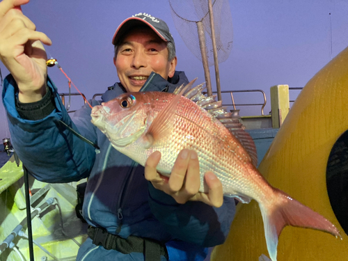 マダイの釣果