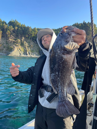 クロソイの釣果