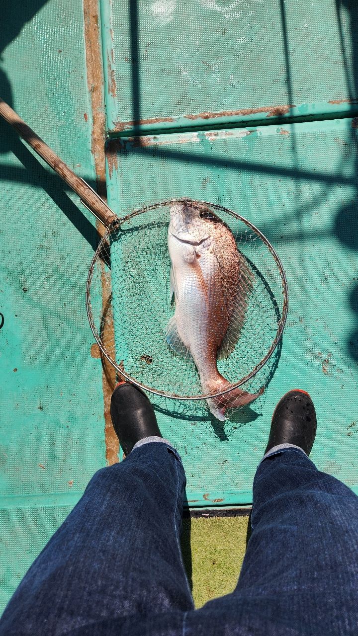 Kazutotさんの釣果 1枚目の画像