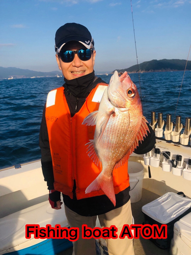 マダイの釣果