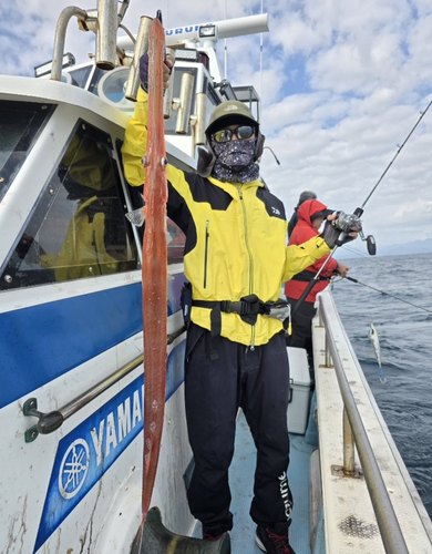 アカヤガラの釣果