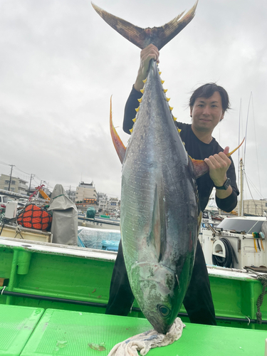 キハダマグロの釣果